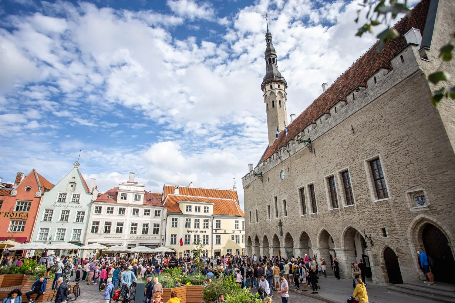Tallinn Fringe Festival Countdown Is On!