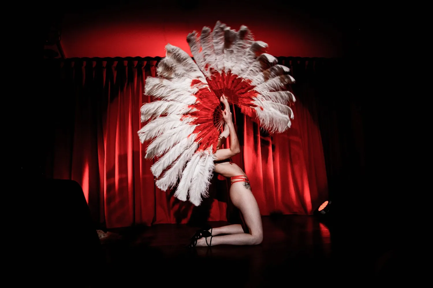 The Otherside Burlesque performance