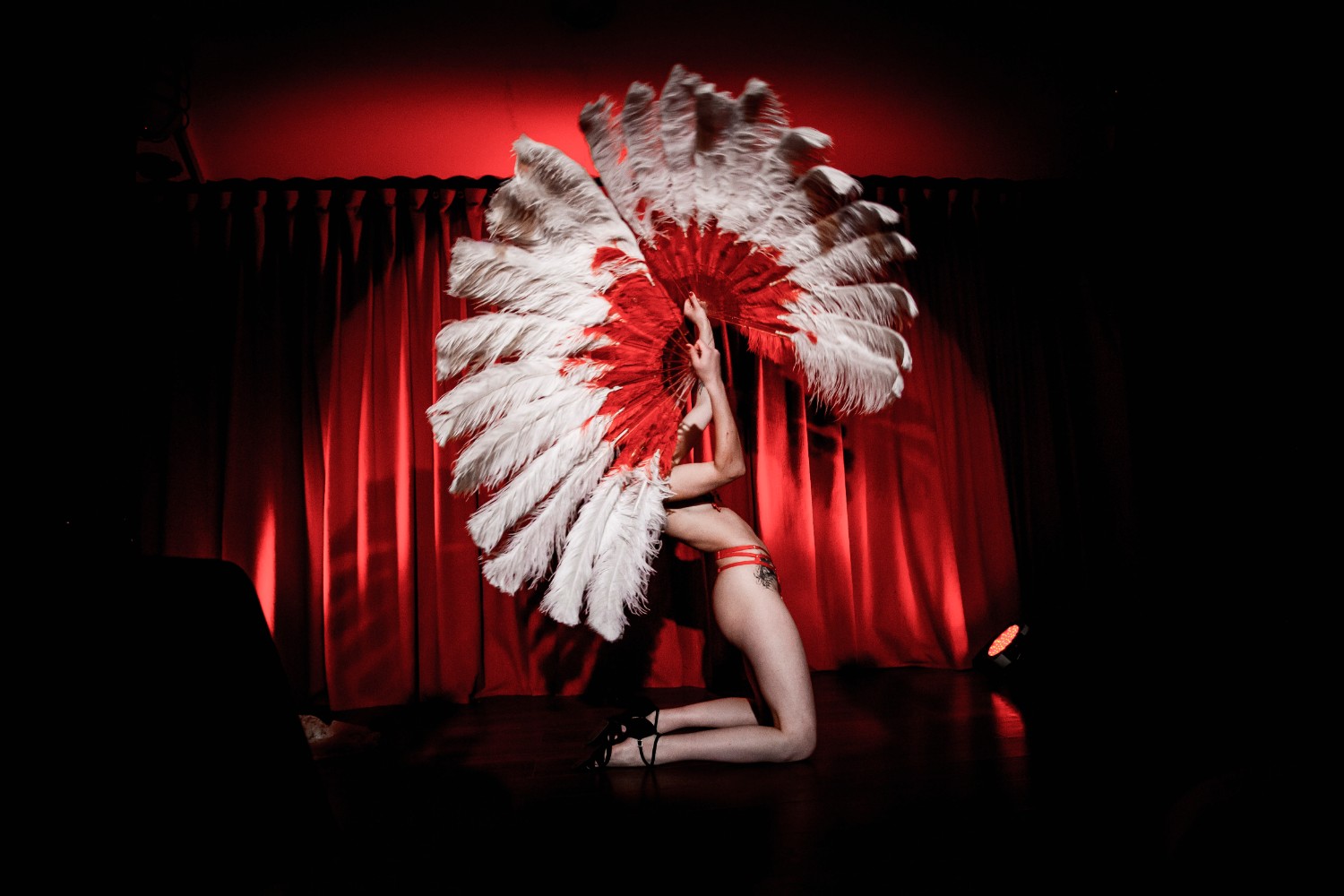The Otherside Burlesque performance